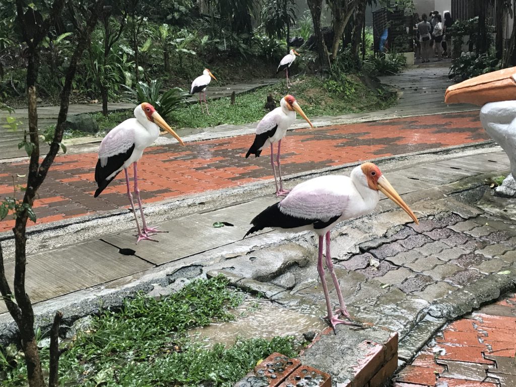 Bird Park Kuala Lumpur