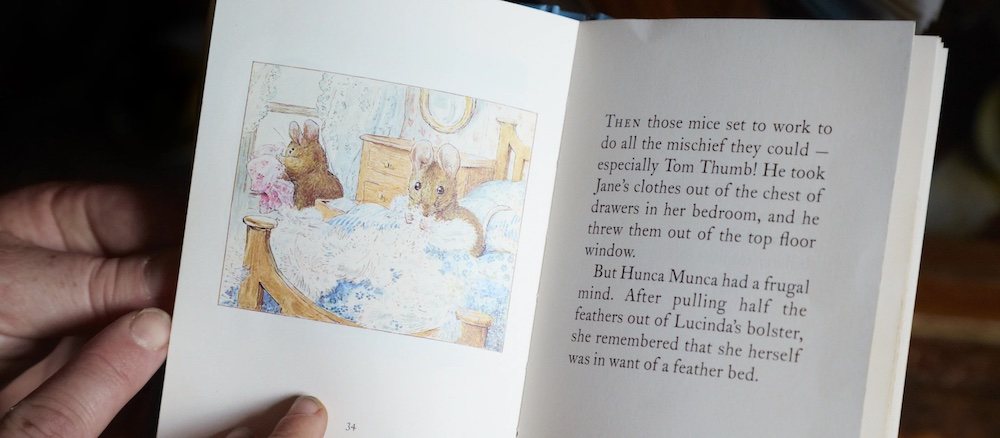 Beatrix Potter Gallery
