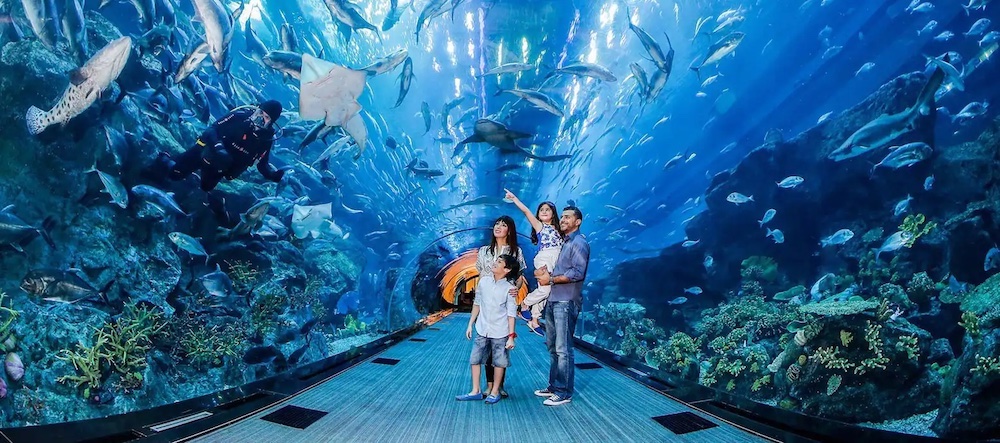 A family marveling at the wonders of the Dubai Aquarium, a popular attraction for all ages.